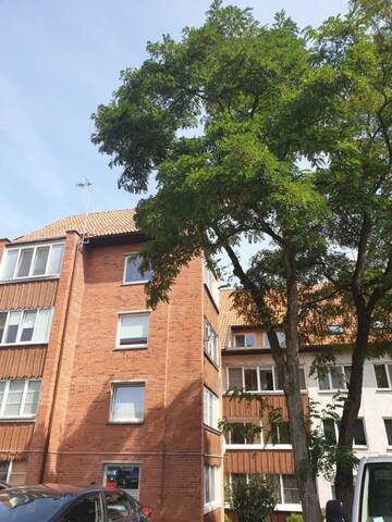 Фото номера Апартаменты с 2 спальнями Апартаменты Apartamentai Taikos 10-36 Nida г. Нида 8
