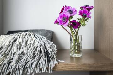 Фото номера Апартаменты с 2 спальнями Апартаменты Close to nature - Nida Apartments г. Нида 16