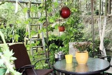 Фото номера Апартаменты с балконом Апартаменты Apartments Isle of Pinecones г. Нида 39
